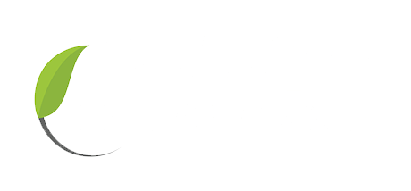 Active Energy Group